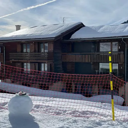 Ski-in Mountain View & Comfort For 6 Guests Le Grand-Bornand